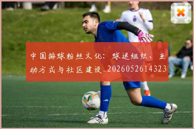 中国排球粉丝文化：球迷组织、互动方式与社区建设_20260526143235