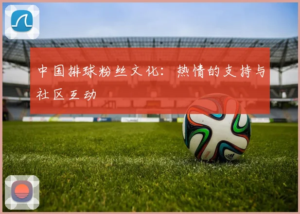 中国排球粉丝文化：热情的支持与社区互动