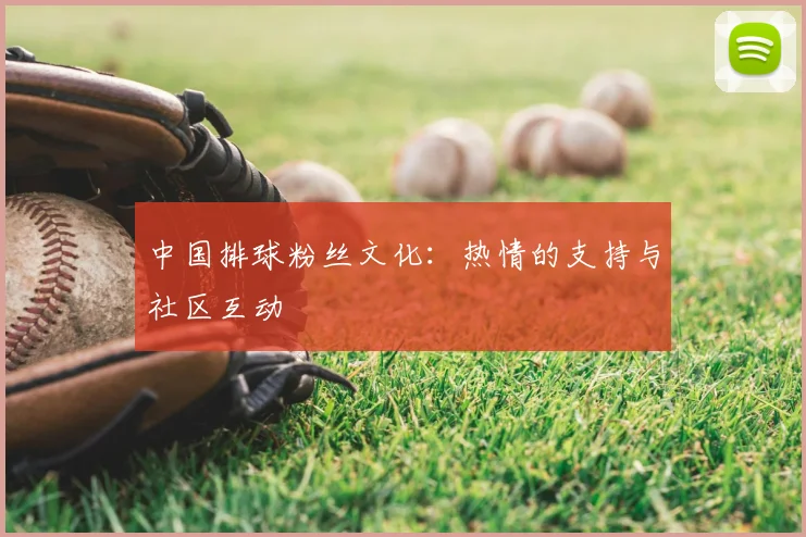 中国排球粉丝文化：热情的支持与社区互动